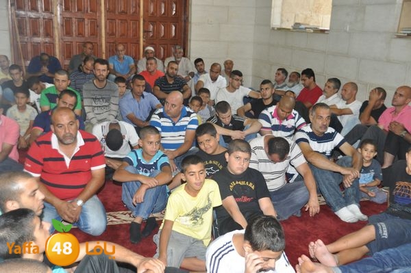 bazsalah lud 712 (15).JPG